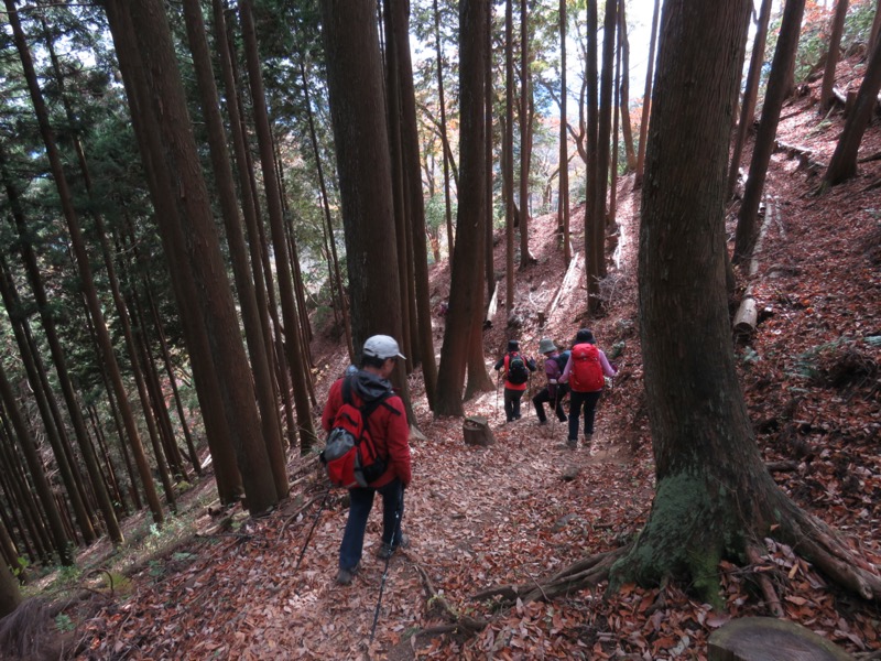 高水三山