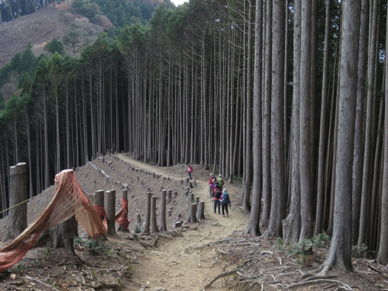 高水三山