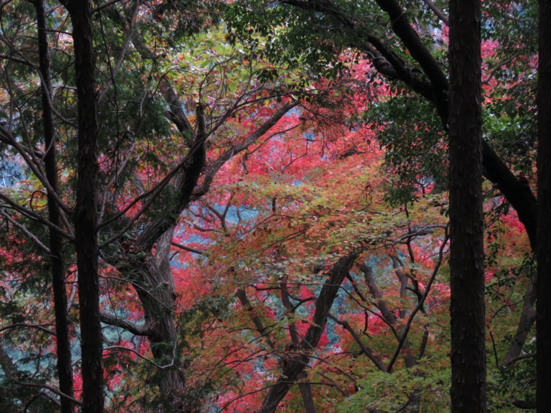 高水三山