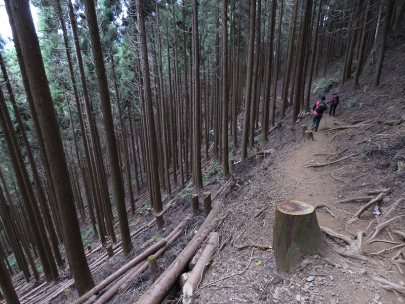 高水三山