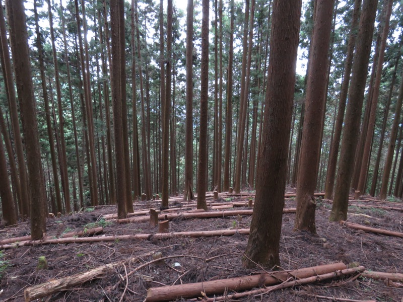 高水三山