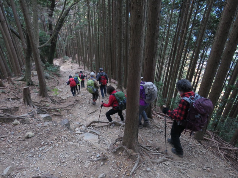 高水三山