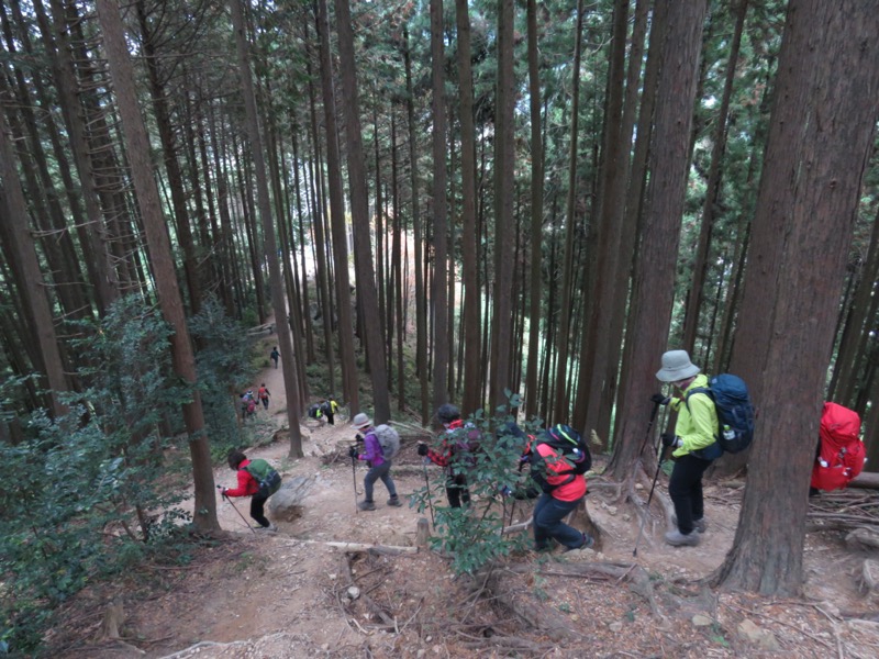 高水三山