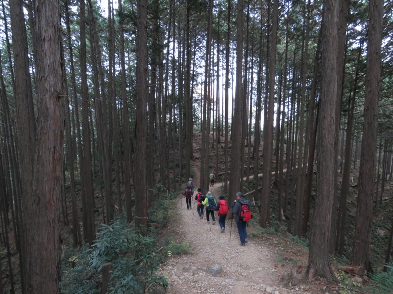 高水三山