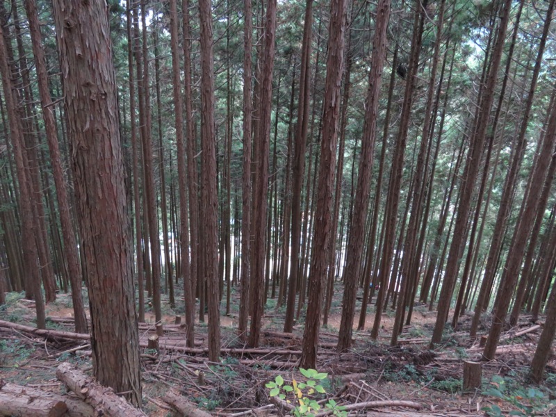 高水三山