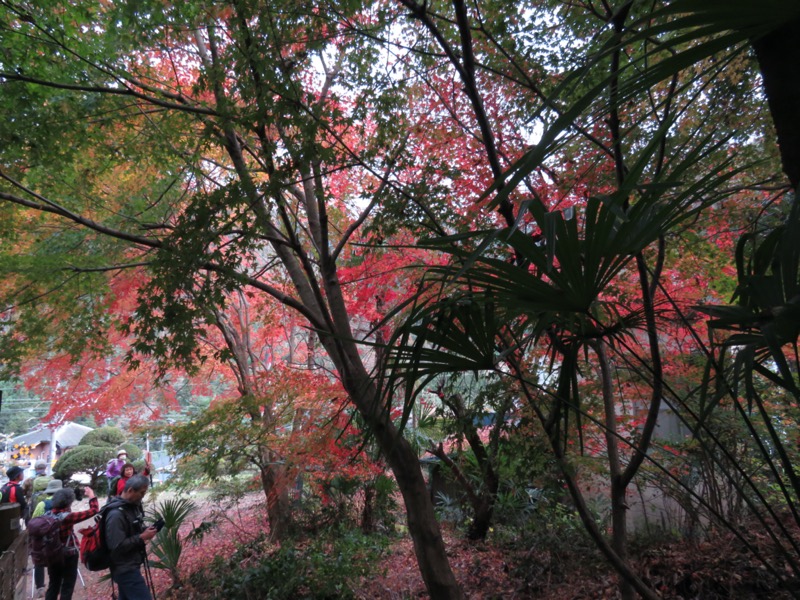 高水三山