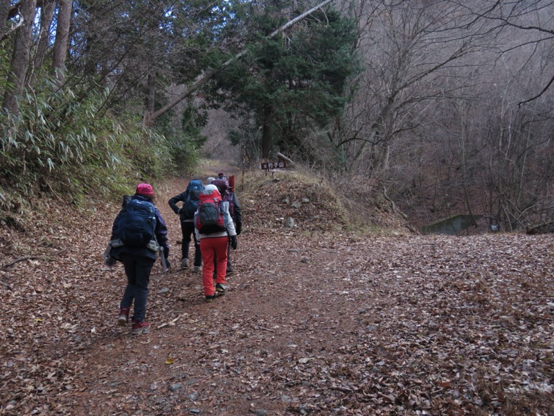 杓子山、鹿留山