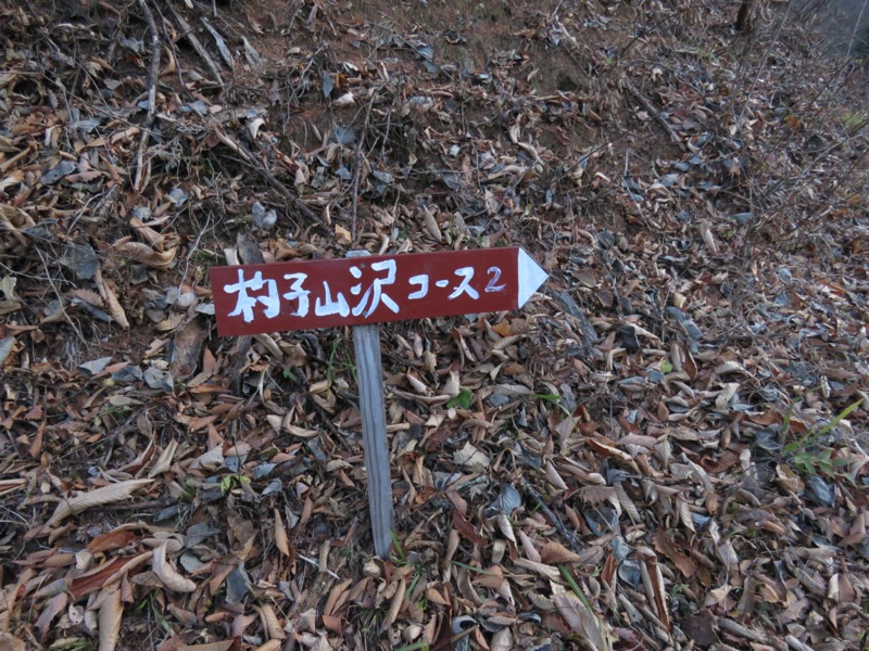 杓子山、鹿留山