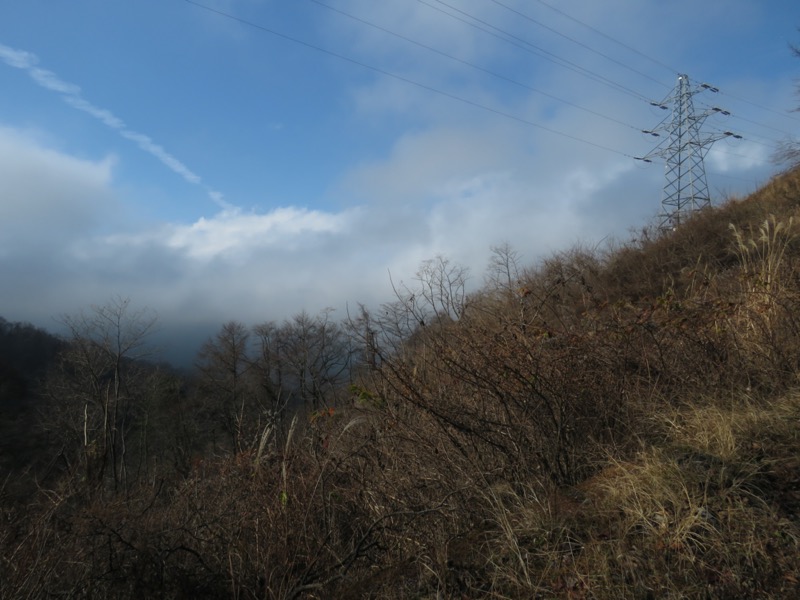 杓子山、鹿留山