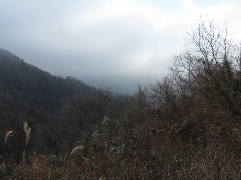 杓子山、鹿留山