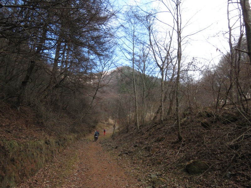 杓子山、鹿留山