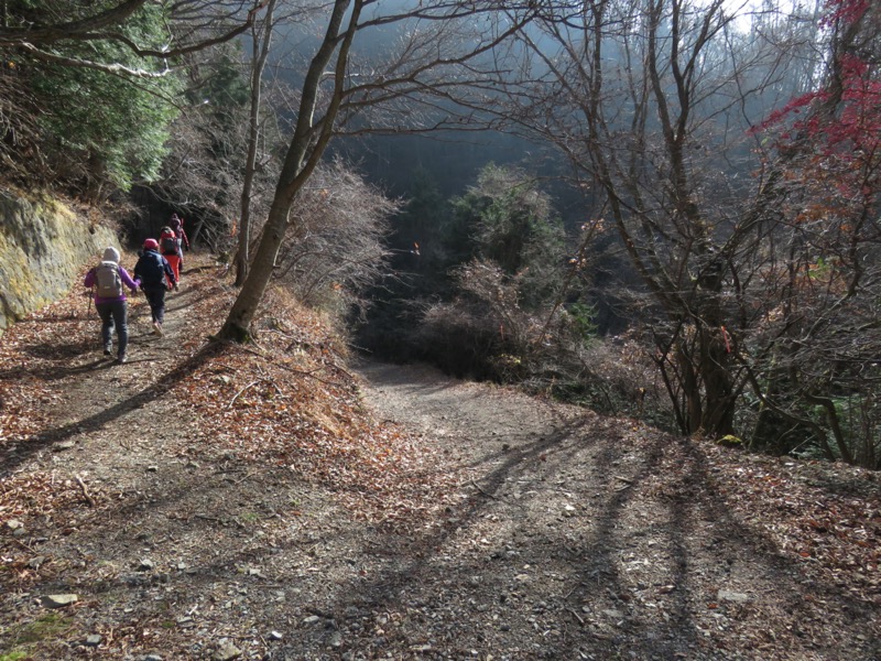 杓子山、鹿留山