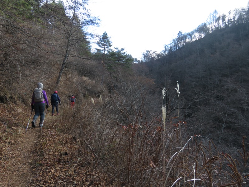 杓子山、鹿留山