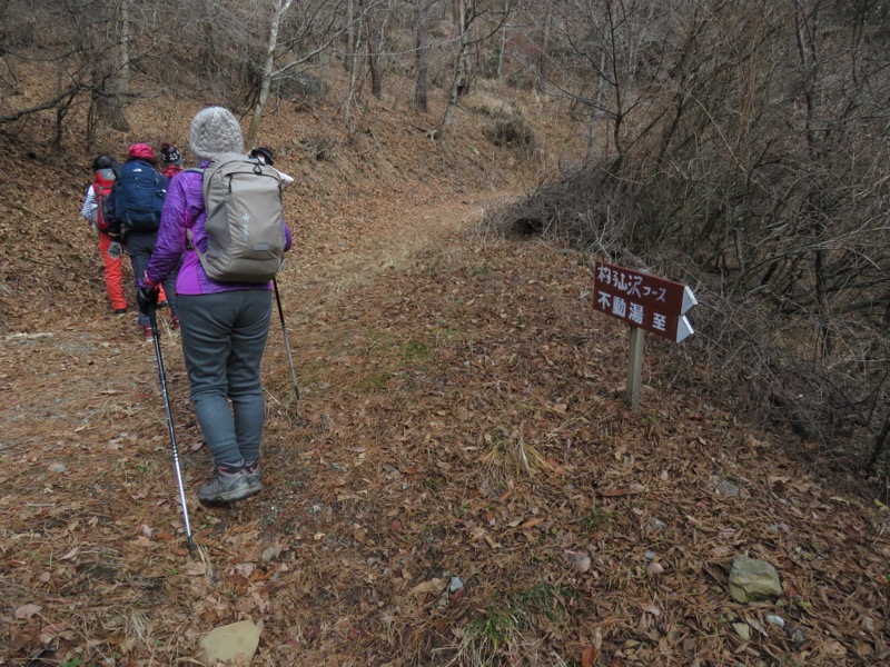 杓子山、鹿留山