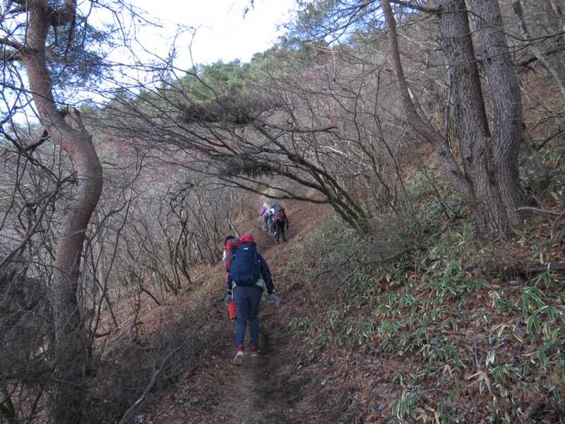 杓子山、鹿留山