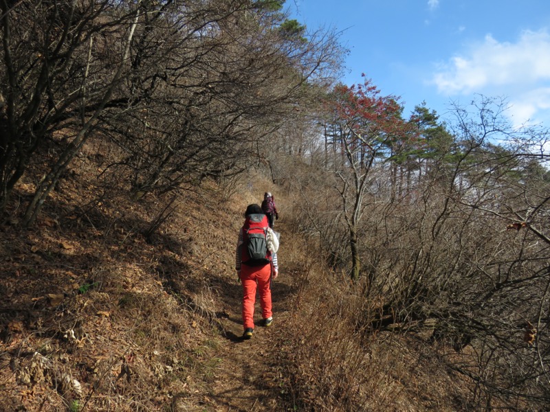 杓子山、鹿留山