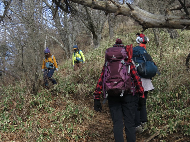 杓子山、鹿留山