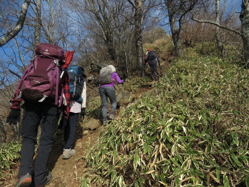 杓子山、鹿留山