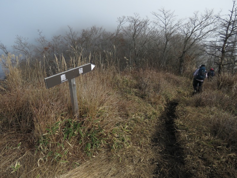 杓子山、鹿留山