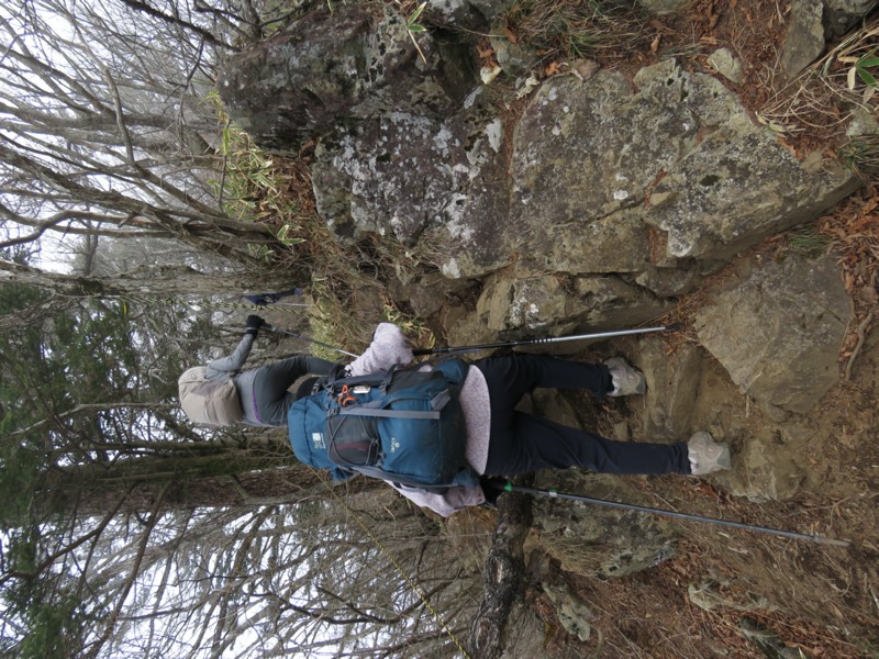 杓子山、鹿留山