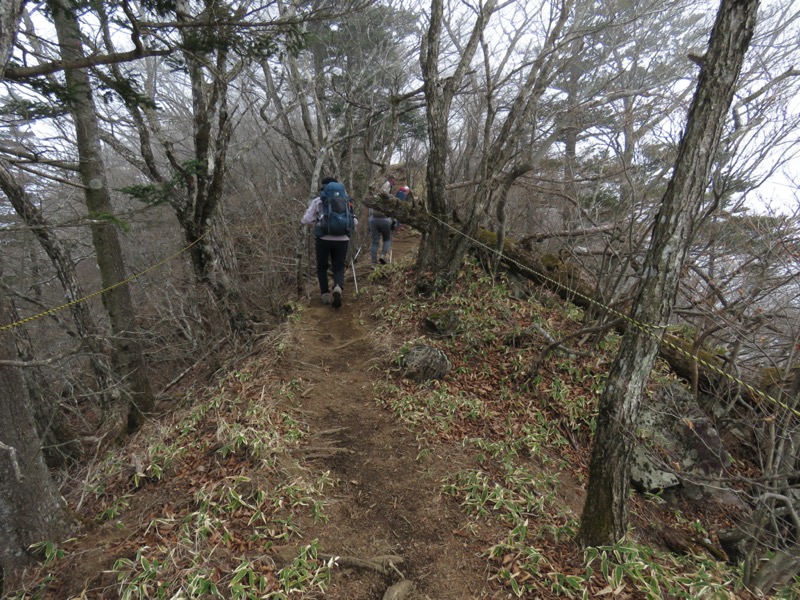 杓子山、鹿留山