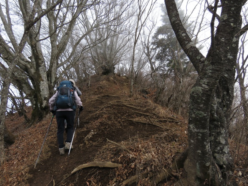 杓子山、鹿留山