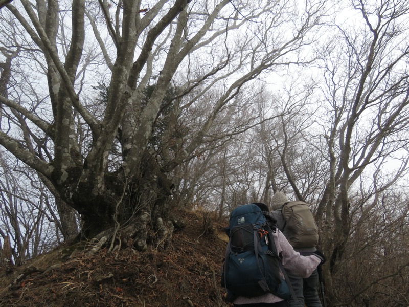 杓子山、鹿留山