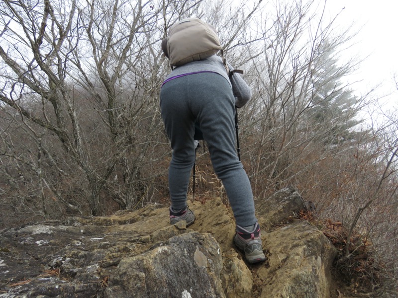 杓子山、鹿留山