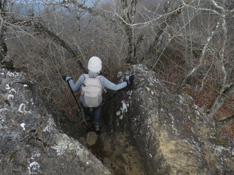 杓子山、鹿留山