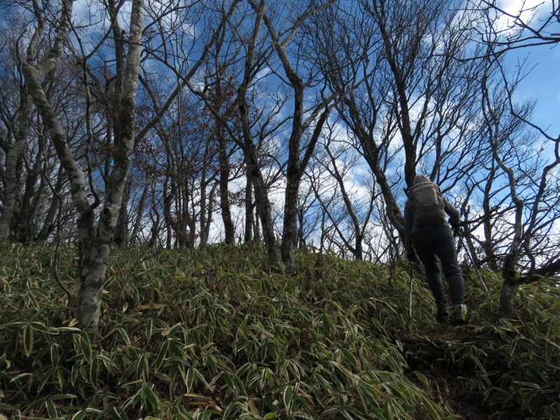 杓子山、鹿留山