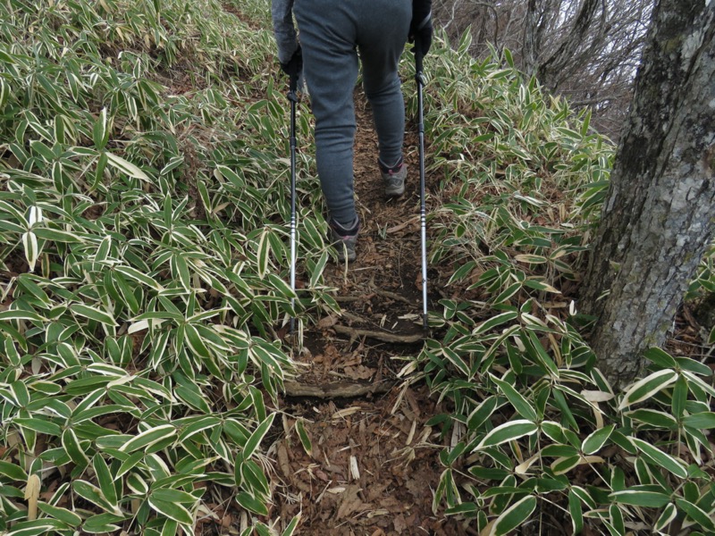 杓子山、鹿留山