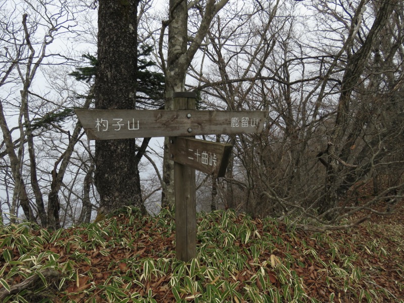 杓子山、鹿留山