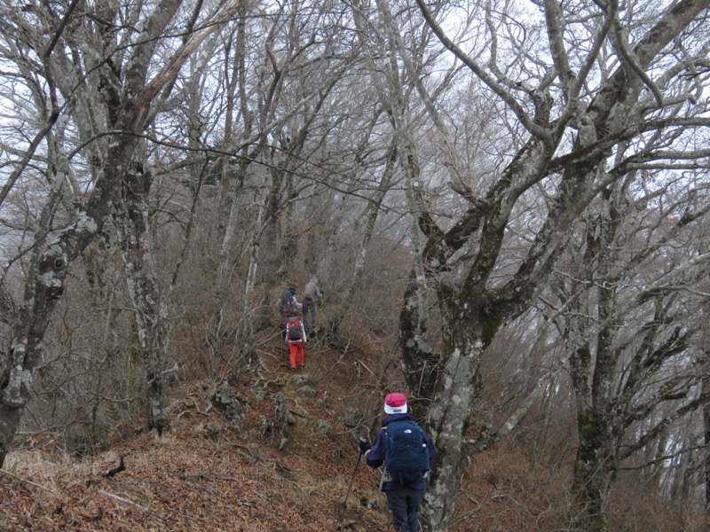 杓子山、鹿留山