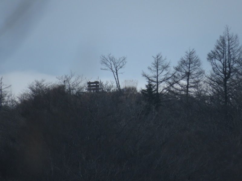 杓子山、鹿留山