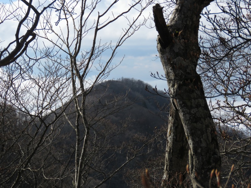 杓子山、鹿留山