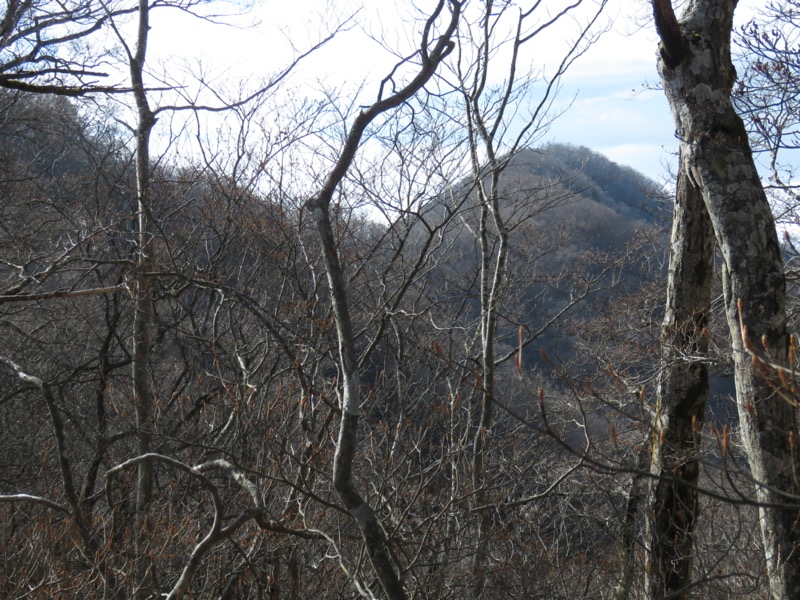 杓子山、鹿留山