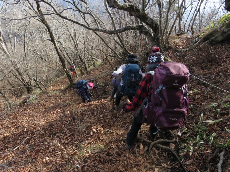 杓子山、鹿留山