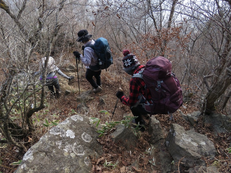 杓子山、鹿留山