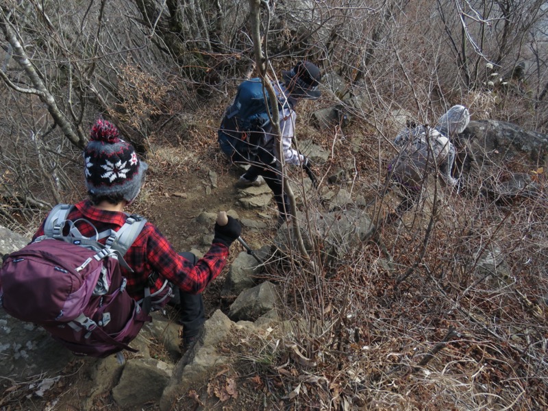 杓子山、鹿留山