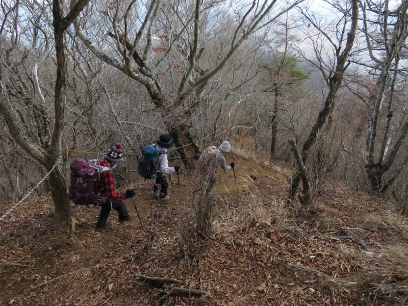 杓子山、鹿留山