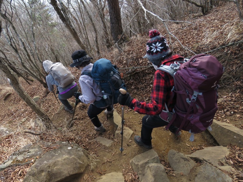 杓子山、鹿留山