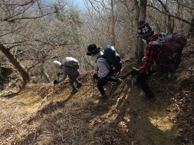 杓子山、鹿留山