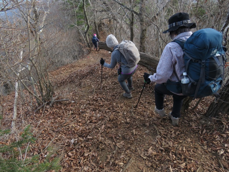 杓子山、鹿留山