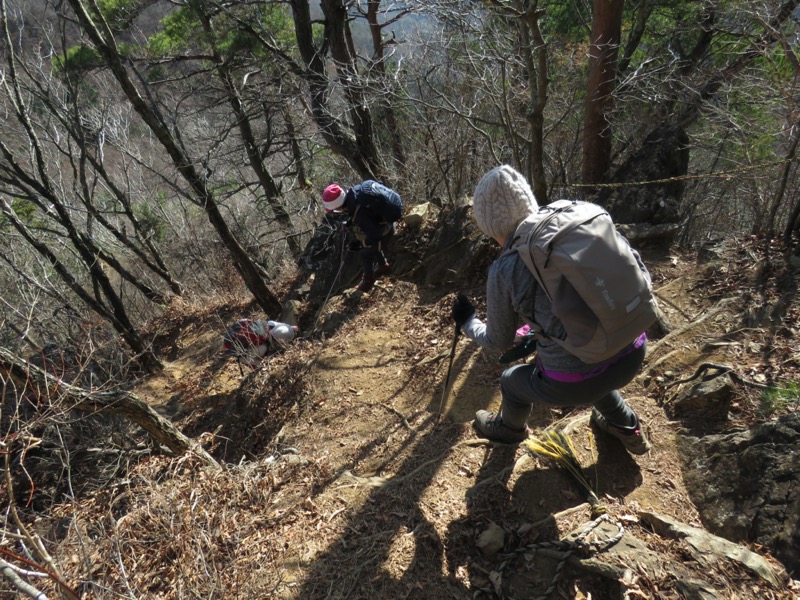 杓子山、鹿留山