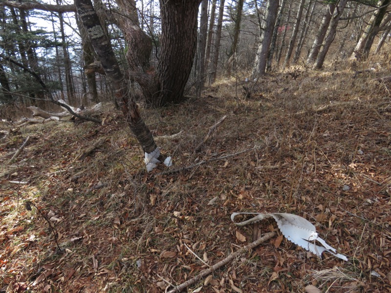 杓子山、鹿留山