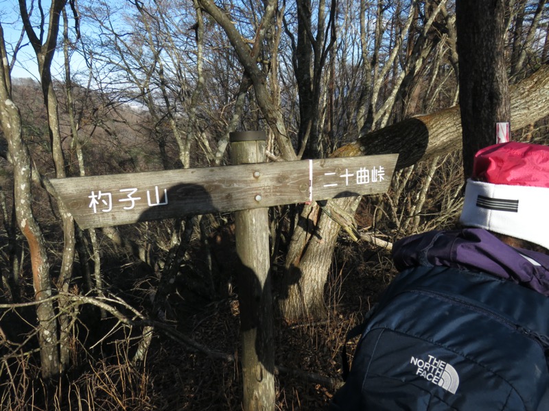 杓子山、鹿留山