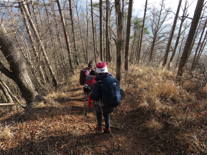 杓子山、鹿留山