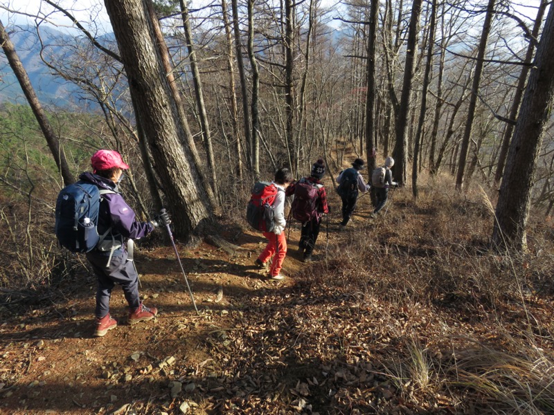 杓子山、鹿留山