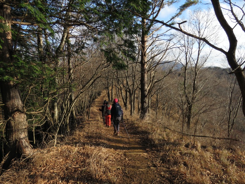 杓子山、鹿留山