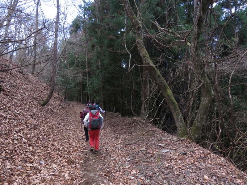 杓子山、鹿留山